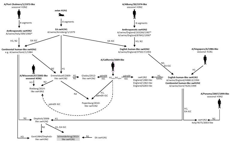 https://cdn.ncbi.nlm.nih.gov/pmc/blobs/b522/7411773/a3946c7e6151/viruses-12-00762-g005.jpg