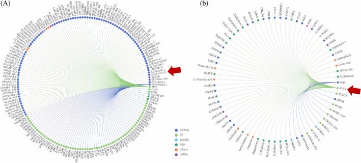 https://cdn.ncbi.nlm.nih.gov/pmc/blobs/b524/11240143/adc6d4f1bbf5/CNR2-7-e2115-g002.jpg