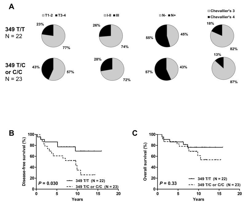 https://cdn.ncbi.nlm.nih.gov/pmc/blobs/b524/5652798/19e9084b05c1/oncotarget-08-77540-g003.jpg