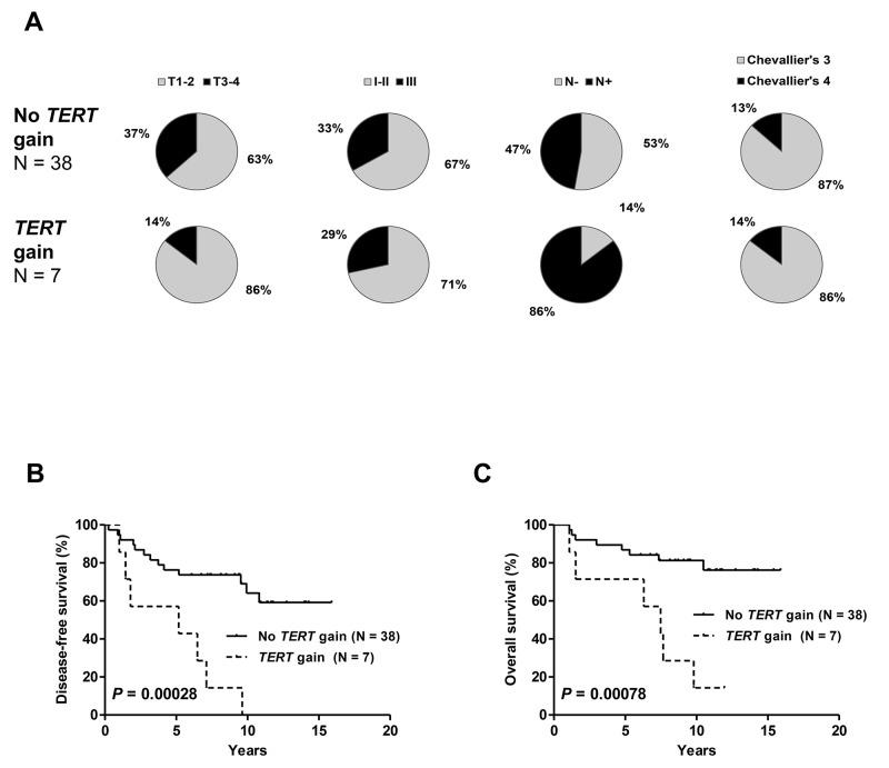 https://cdn.ncbi.nlm.nih.gov/pmc/blobs/b524/5652798/3de1a0a8c840/oncotarget-08-77540-g005.jpg