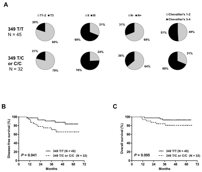 https://cdn.ncbi.nlm.nih.gov/pmc/blobs/b524/5652798/e77570affc61/oncotarget-08-77540-g002.jpg