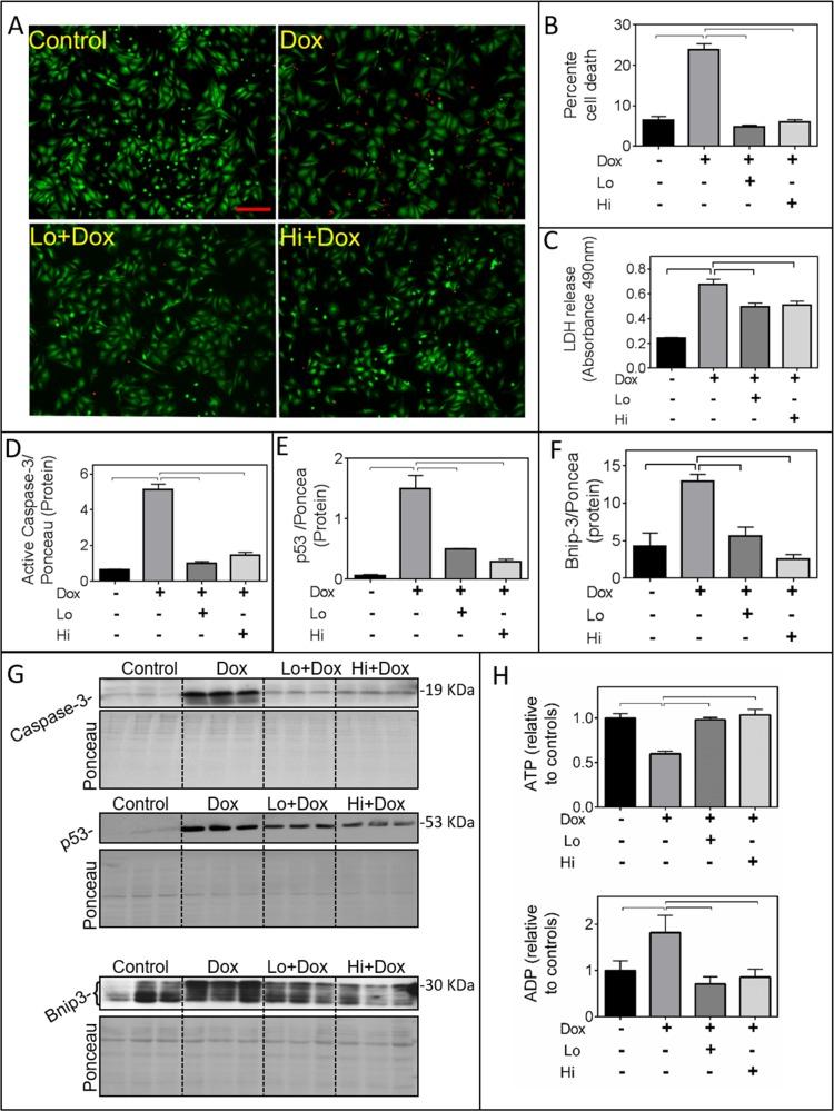 https://cdn.ncbi.nlm.nih.gov/pmc/blobs/b524/5675643/c11420a5f312/oncotarget-08-87415-g001.jpg