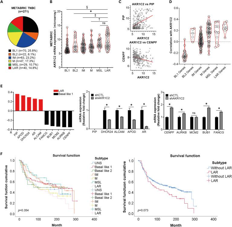 https://cdn.ncbi.nlm.nih.gov/pmc/blobs/b525/9981988/97edd3b38250/jbc-26-60-g004.jpg