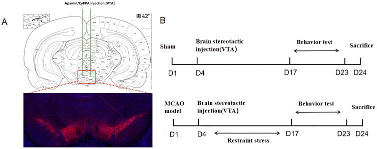 https://cdn.ncbi.nlm.nih.gov/pmc/blobs/b529/10572402/7900184b4cf9/NDT-19-2127-g0002.jpg