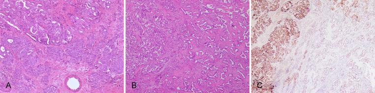 https://cdn.ncbi.nlm.nih.gov/pmc/blobs/b529/10752808/7ded81c2fcbc/JCTH-11-1553-g007.jpg