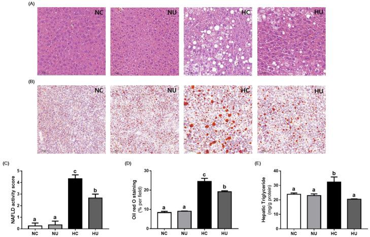 https://cdn.ncbi.nlm.nih.gov/pmc/blobs/b529/8471872/903b06353e7f/nutrients-13-02989-g004.jpg