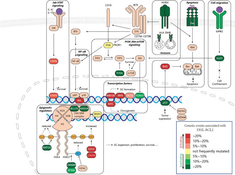 https://cdn.ncbi.nlm.nih.gov/pmc/blobs/b52a/8932183/b6ed77a78c0d/13045_2022_1249_Fig1_HTML.jpg