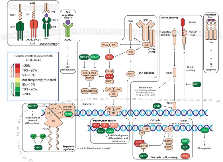 https://cdn.ncbi.nlm.nih.gov/pmc/blobs/b52a/8932183/d98f83a2ee49/13045_2022_1249_Fig2_HTML.jpg