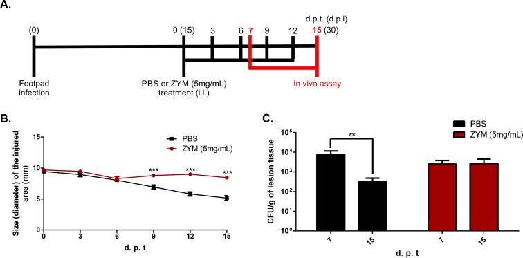 https://cdn.ncbi.nlm.nih.gov/pmc/blobs/b52c/5391973/f64631693c71/pntd.0005461.g008.jpg