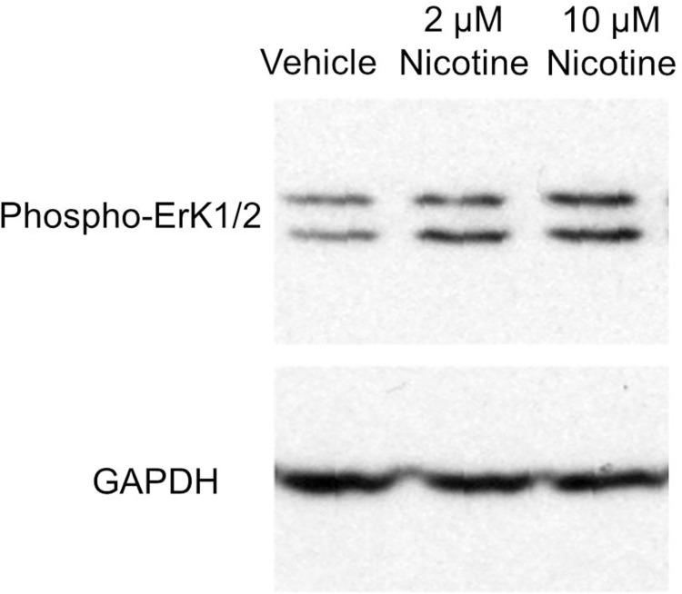 https://cdn.ncbi.nlm.nih.gov/pmc/blobs/b533/9387791/7c8fbf3ae983/pone.0272941.g002.jpg