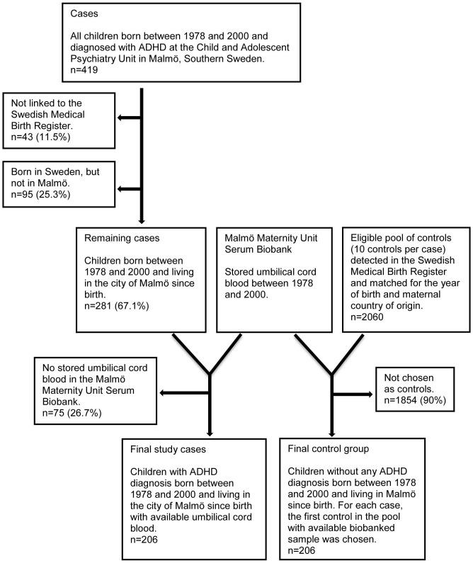 https://cdn.ncbi.nlm.nih.gov/pmc/blobs/b538/3997434/a527ccb69f53/pone.0095891.g001.jpg