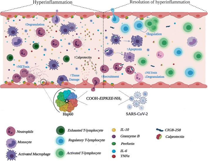 https://cdn.ncbi.nlm.nih.gov/pmc/blobs/b538/8065077/c01b47f42e34/12192_2021_1197_Fig7_HTML.jpg