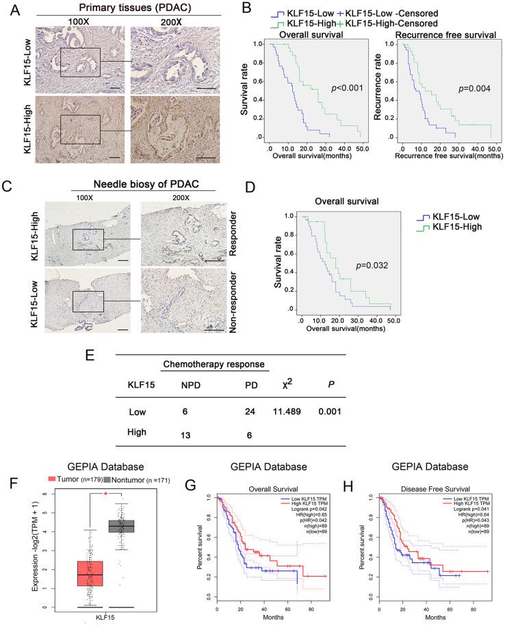 https://cdn.ncbi.nlm.nih.gov/pmc/blobs/b53b/11455850/6ce6a7fec223/18_2024_5442_Fig1_HTML.jpg