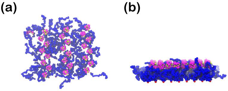 https://cdn.ncbi.nlm.nih.gov/pmc/blobs/b53c/10221853/41822089f7d5/polymers-15-02407-g003.jpg