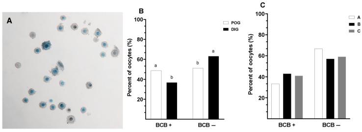 https://cdn.ncbi.nlm.nih.gov/pmc/blobs/b53c/12248814/eb5ff67aec58/animals-15-01953-g001.jpg