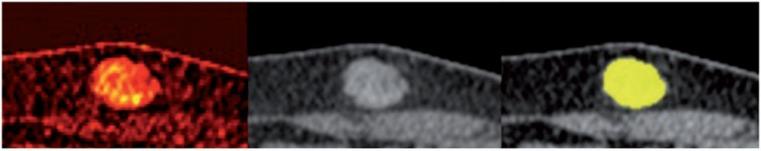 https://cdn.ncbi.nlm.nih.gov/pmc/blobs/b53c/3719051/6647352ebb38/ci13003103.jpg