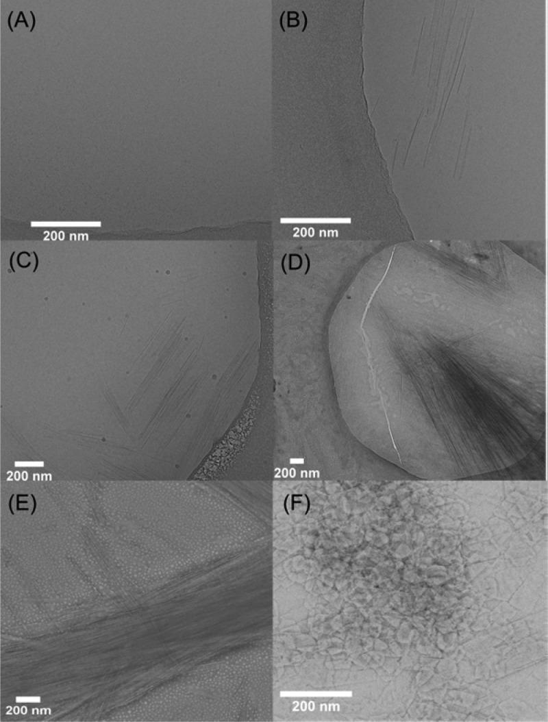 https://cdn.ncbi.nlm.nih.gov/pmc/blobs/b53d/5423079/fdb583a7b584/ja-2017-01814k_0005.jpg