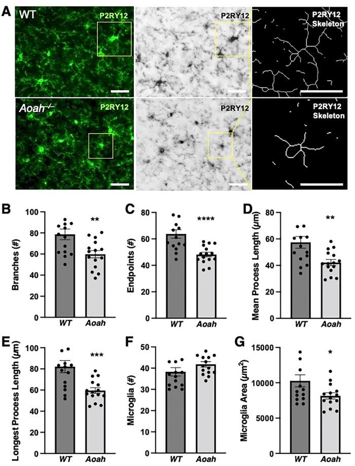 https://cdn.ncbi.nlm.nih.gov/pmc/blobs/b53e/9387837/797d0bf8eb28/pone.0269140.g004.jpg