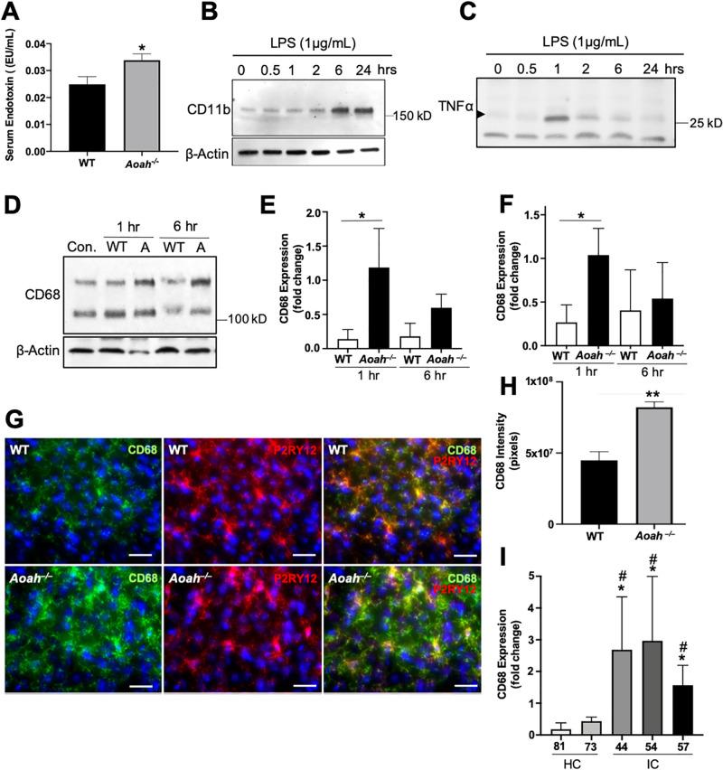https://cdn.ncbi.nlm.nih.gov/pmc/blobs/b53e/9387837/fa8f1299b988/pone.0269140.g005.jpg