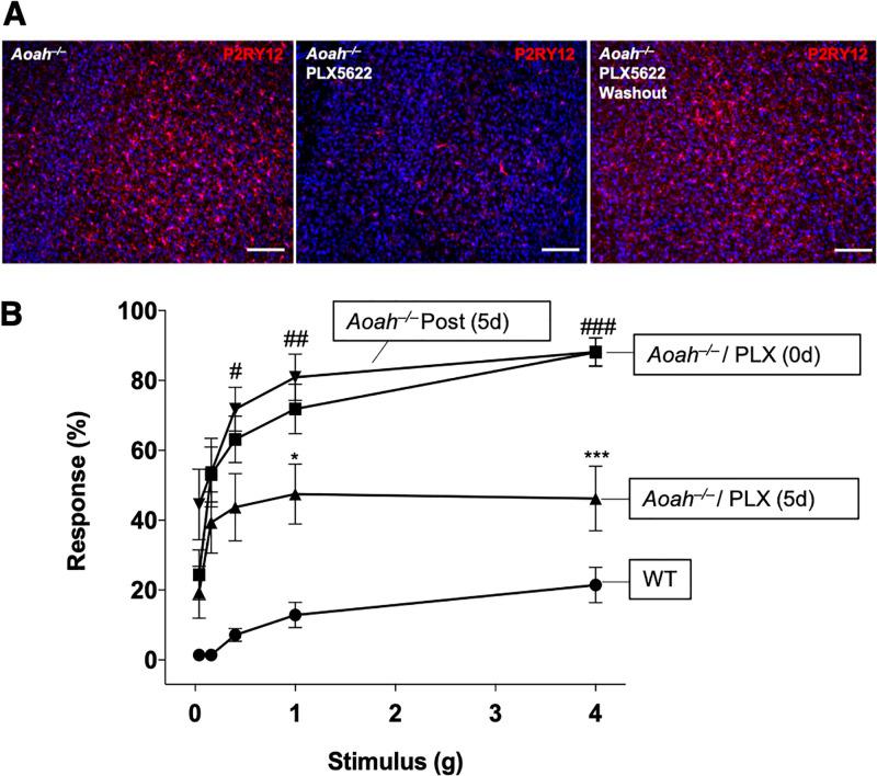 https://cdn.ncbi.nlm.nih.gov/pmc/blobs/b53e/9387837/fc8e0bd54856/pone.0269140.g003.jpg