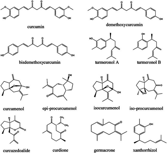 https://cdn.ncbi.nlm.nih.gov/pmc/blobs/b542/8120430/6c0545a3b1a3/fphar-12-643119-g002.jpg