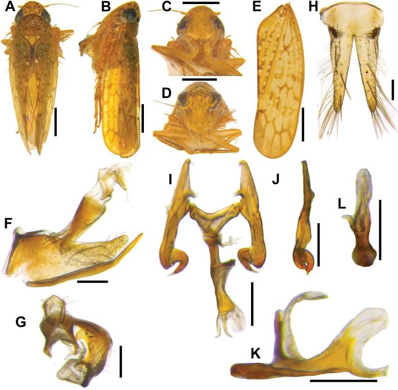 https://cdn.ncbi.nlm.nih.gov/pmc/blobs/b547/11441579/2a29ef4e96fa/ieae090_fig20.jpg