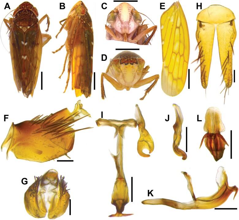 https://cdn.ncbi.nlm.nih.gov/pmc/blobs/b547/11441579/5f47814f658b/ieae090_fig5.jpg