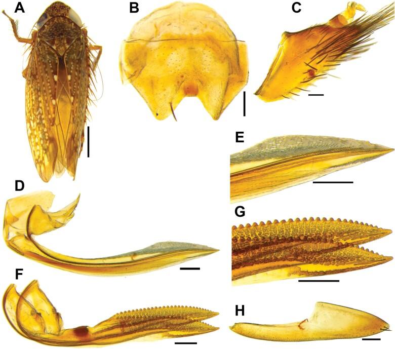 https://cdn.ncbi.nlm.nih.gov/pmc/blobs/b547/11441579/677baa88ddd6/ieae090_fig22.jpg