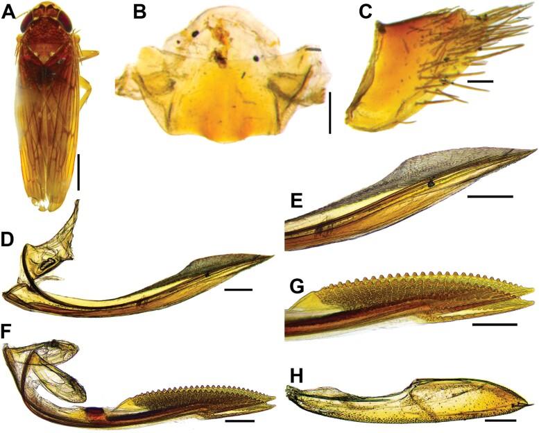 https://cdn.ncbi.nlm.nih.gov/pmc/blobs/b547/11441579/d0ab856e5e3e/ieae090_fig12.jpg