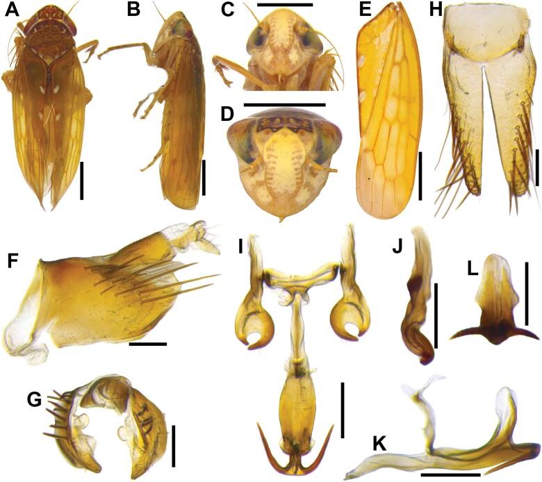 https://cdn.ncbi.nlm.nih.gov/pmc/blobs/b547/11441579/ed95be499d59/ieae090_fig13.jpg