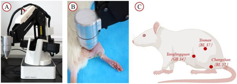 https://cdn.ncbi.nlm.nih.gov/pmc/blobs/b547/12344559/0e1700190bff/fneur-16-1622602-g002.jpg