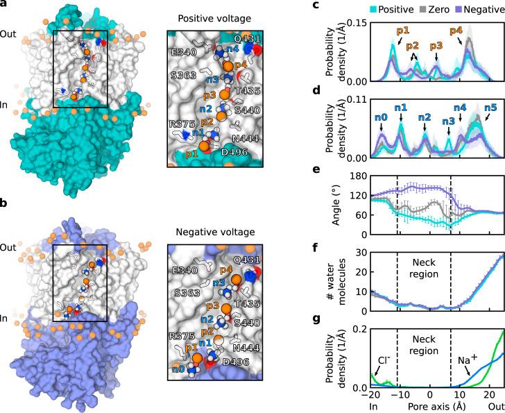 https://cdn.ncbi.nlm.nih.gov/pmc/blobs/b547/8121942/a891ffcd6011/41467_2021_22724_Fig6_HTML.jpg