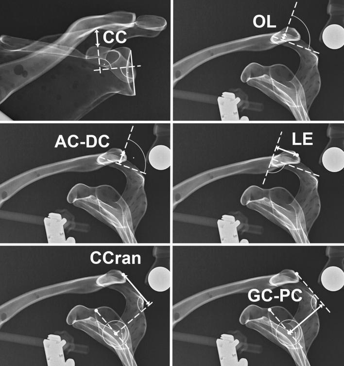 https://cdn.ncbi.nlm.nih.gov/pmc/blobs/b548/5754414/20457b402a20/167_2017_4579_Fig3_HTML.jpg
