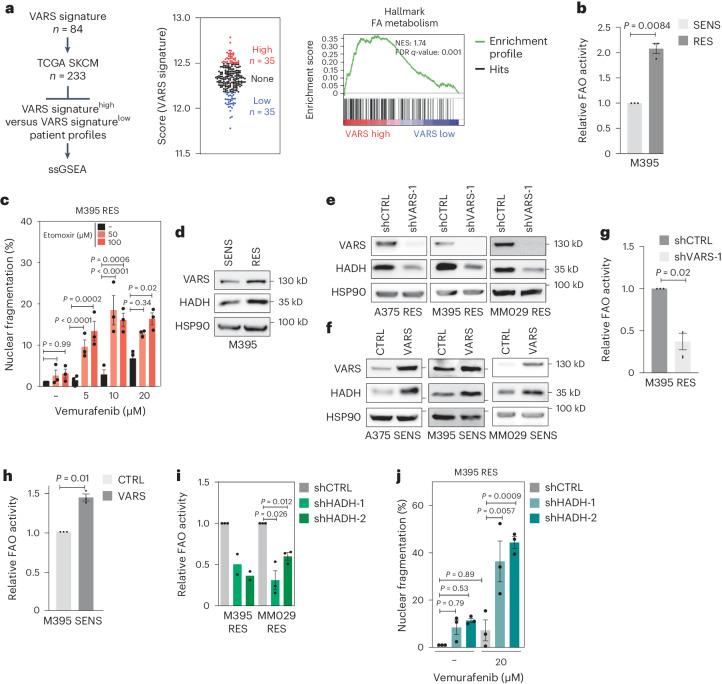 https://cdn.ncbi.nlm.nih.gov/pmc/blobs/b54c/11252002/182424772414/41556_2024_1439_Fig7_HTML.jpg