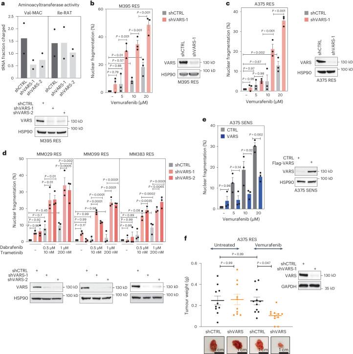 https://cdn.ncbi.nlm.nih.gov/pmc/blobs/b54c/11252002/a661af748db2/41556_2024_1439_Fig4_HTML.jpg