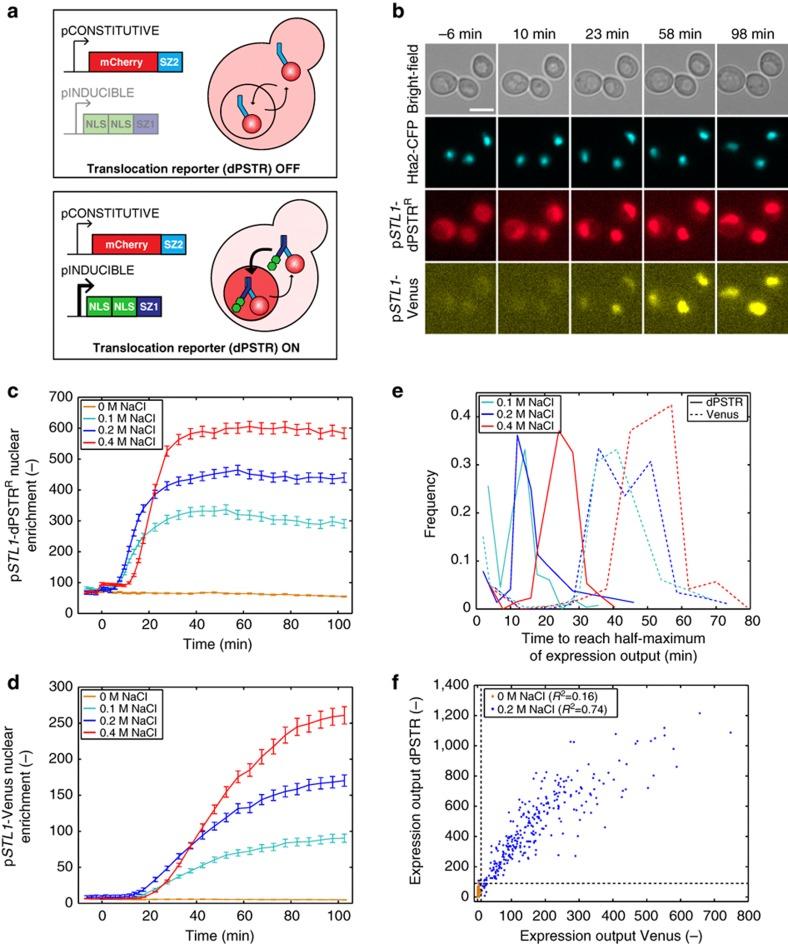 https://cdn.ncbi.nlm.nih.gov/pmc/blobs/b54c/4844680/b389d72035c4/ncomms11304-f1.jpg
