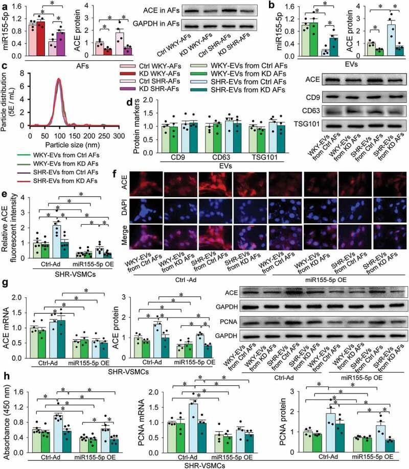https://cdn.ncbi.nlm.nih.gov/pmc/blobs/b54d/6896498/16cf097112c5/ZJEV_A_1698795_F0006_OC.jpg