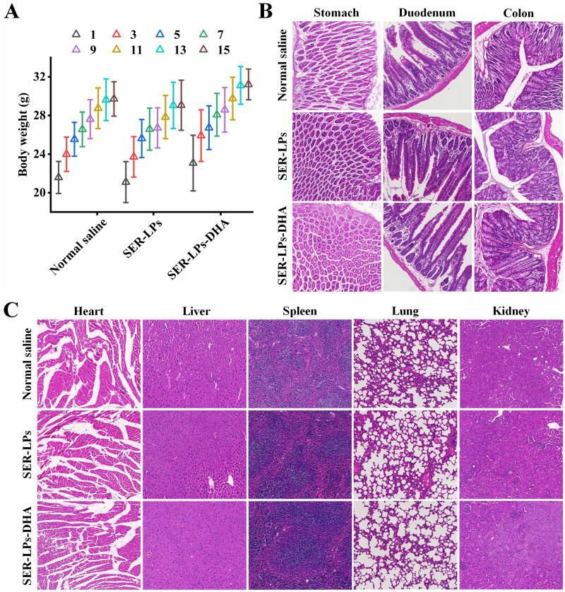 https://cdn.ncbi.nlm.nih.gov/pmc/blobs/b54f/11164214/59acc112949a/IJN-19-5273-g0010.jpg
