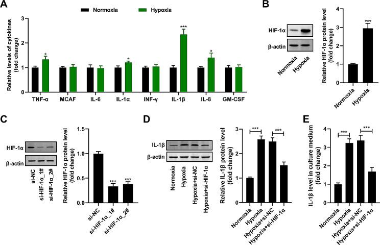 https://cdn.ncbi.nlm.nih.gov/pmc/blobs/b54f/11165725/329203da0a8f/13062_2024_487_Fig1_HTML.jpg