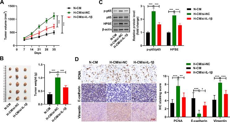 https://cdn.ncbi.nlm.nih.gov/pmc/blobs/b54f/11165725/b5edad8c447a/13062_2024_487_Fig6_HTML.jpg