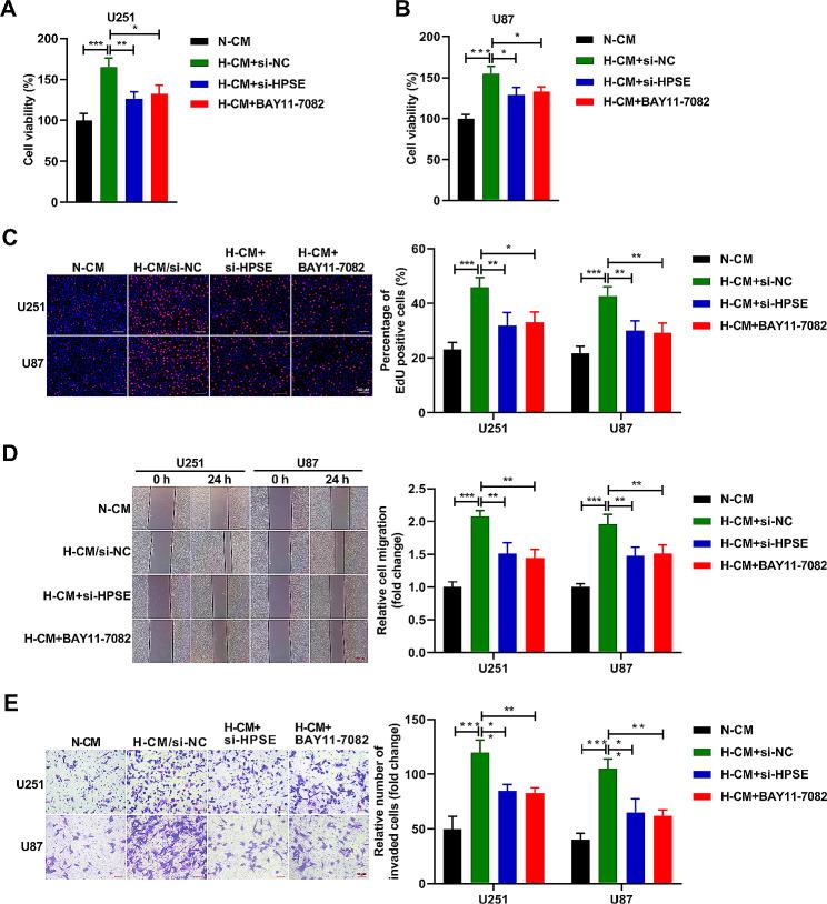https://cdn.ncbi.nlm.nih.gov/pmc/blobs/b54f/11165725/eb889697b15a/13062_2024_487_Fig7_HTML.jpg