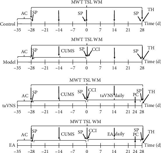 https://cdn.ncbi.nlm.nih.gov/pmc/blobs/b54f/7599410/2e6a7a6c2a92/NP2020-8885729.001.jpg