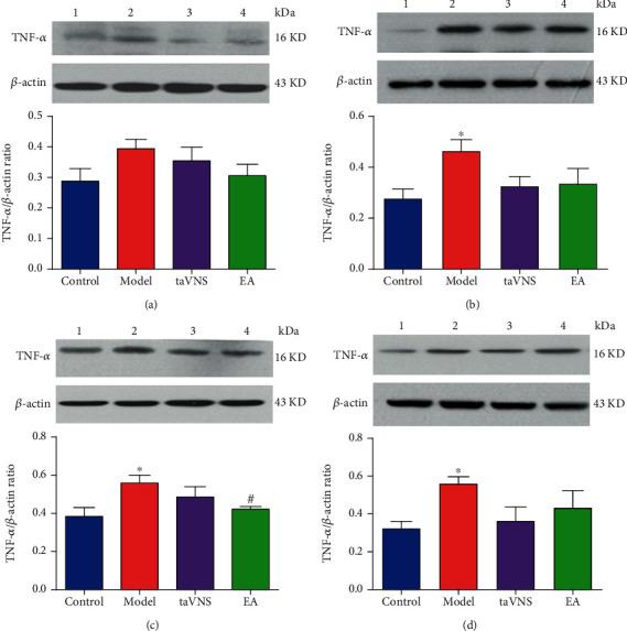 https://cdn.ncbi.nlm.nih.gov/pmc/blobs/b54f/7599410/fda54f073b37/NP2020-8885729.003.jpg