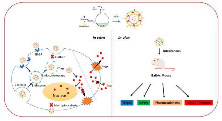 https://cdn.ncbi.nlm.nih.gov/pmc/blobs/b54f/7956628/5f156ab325d7/molecules-26-01280-g007.jpg