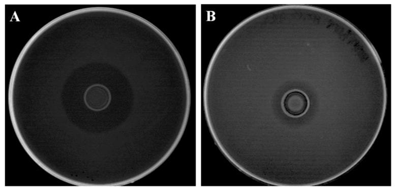 https://cdn.ncbi.nlm.nih.gov/pmc/blobs/b550/8304694/4b40cf66aad5/foods-10-01448-g001.jpg