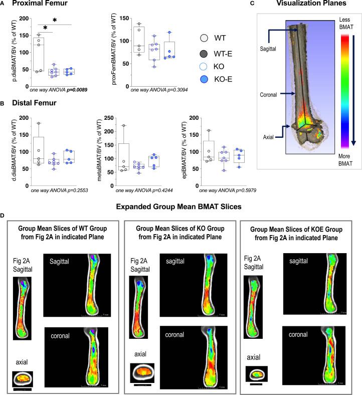 https://cdn.ncbi.nlm.nih.gov/pmc/blobs/b550/8822583/e56fb8dfa30a/fendo-12-782194-g003.jpg