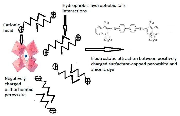 https://cdn.ncbi.nlm.nih.gov/pmc/blobs/b551/7180810/efc8d39c2f6f/molecules-25-01640-sch001.jpg