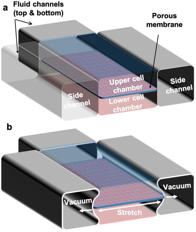 https://cdn.ncbi.nlm.nih.gov/pmc/blobs/b553/10238329/46e205cddb82/10544_2023_657_Fig1_HTML.jpg