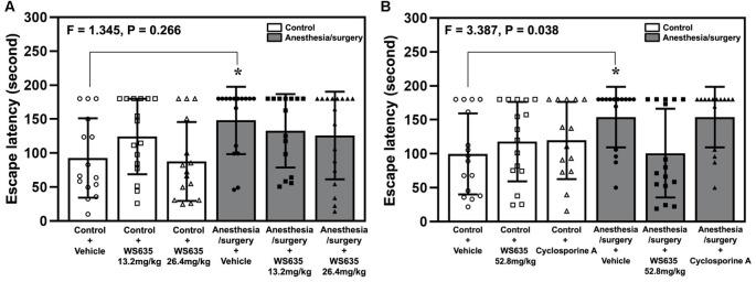 https://cdn.ncbi.nlm.nih.gov/pmc/blobs/b554/8335586/a379e7e29907/fnagi-13-688587-g0004.jpg