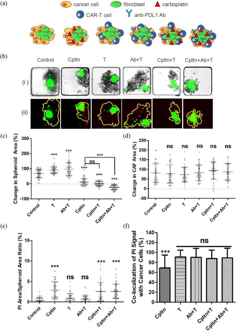 https://cdn.ncbi.nlm.nih.gov/pmc/blobs/b557/9252335/1bb1d3838d97/zagno4-3178302.jpg